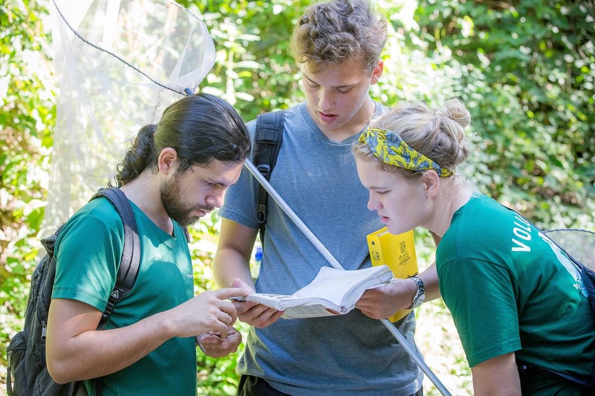 Projects Abroad volunteers look up butterfly species during Conservation volunteering in Costa Rica. Volunteers conduct a butterfly survey as part of their Conservation volunteer work in Costa Rica